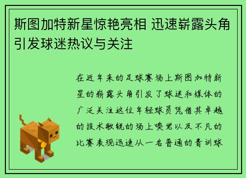 斯图加特新星惊艳亮相 迅速崭露头角引发球迷热议与关注